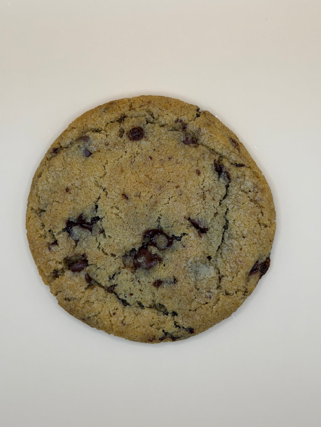 Brown Butter Chocolate Chip (6)